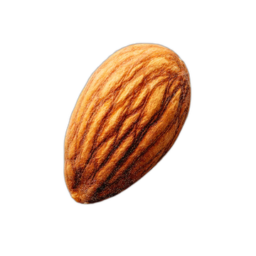Gurbandi almond